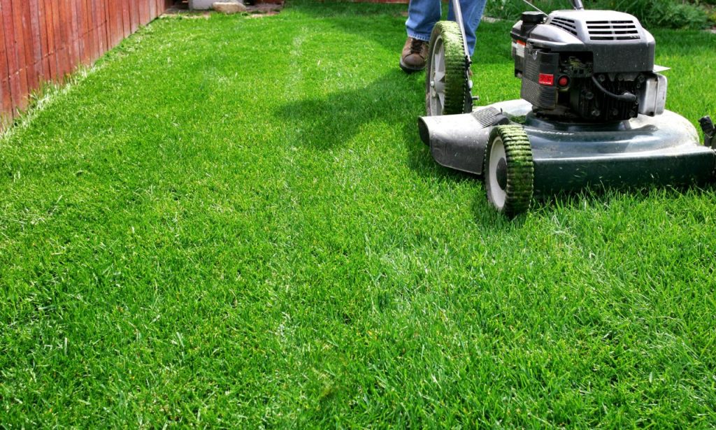 how much can I sell my lawn care business for