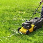 how much can I sell my lawn care business for