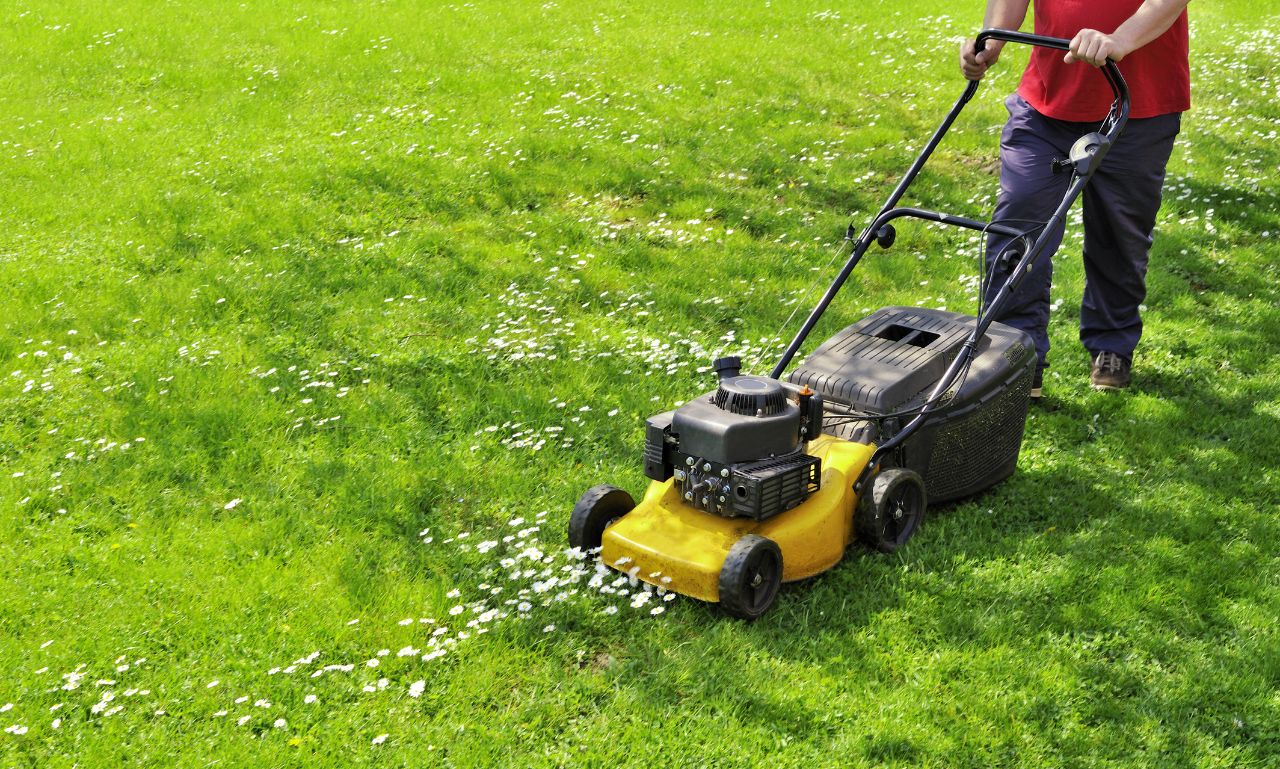 how much can I sell my lawn care business for